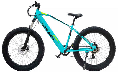 E-BIKE HOKKAIDO MICHIGAN CELESTE